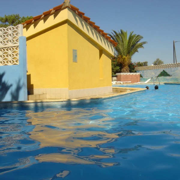 Portfolio Image